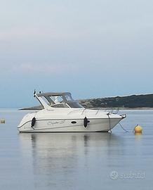 Sessa Oyster 22 