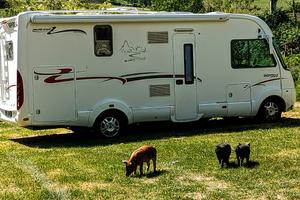 Camper motorhome rapido 9096 df - anno 2009