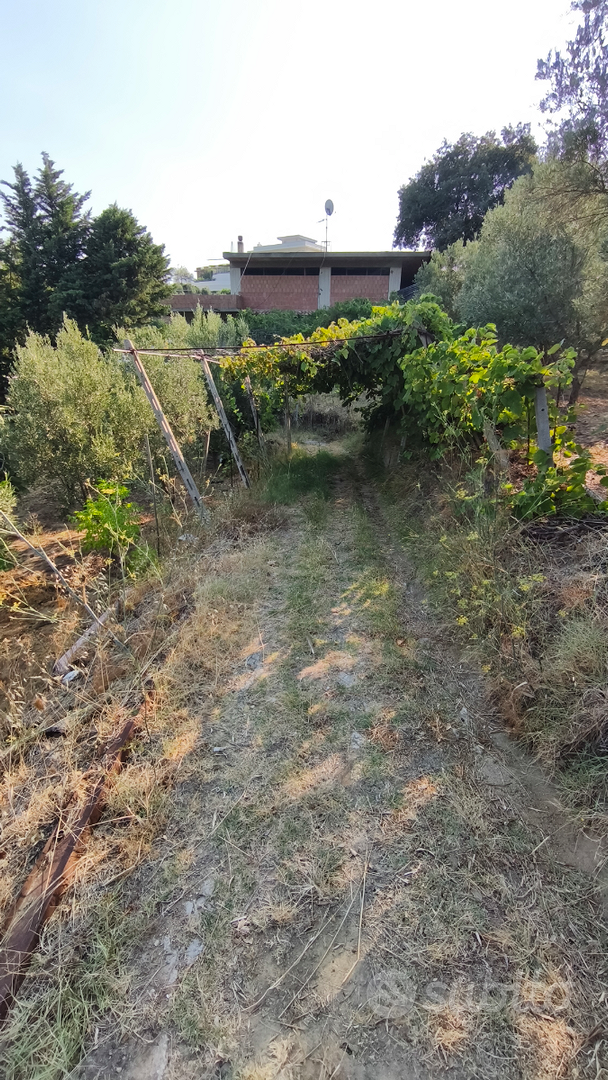 Terreno agricolo - Vista 5