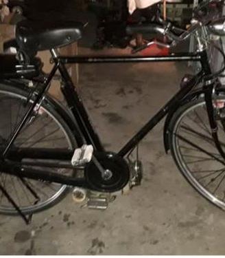 mosquito  bianchi lusso