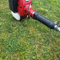 Decespugliatore Robin 