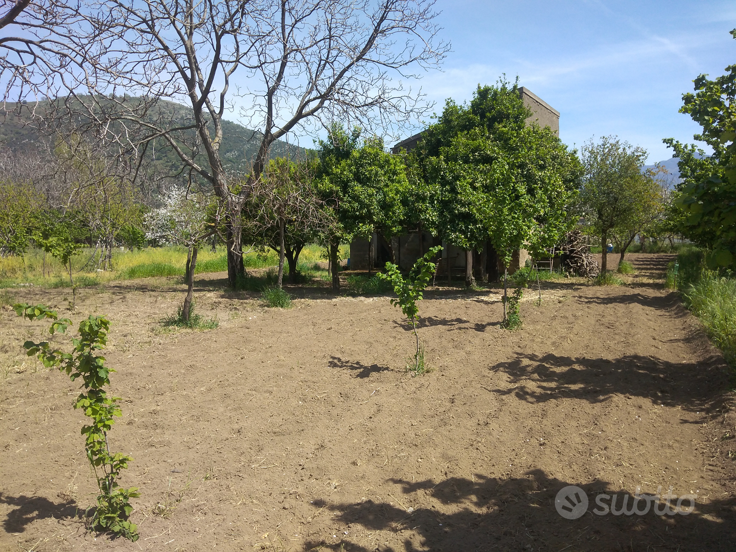Abitazione con terreno - Vista 3