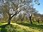 Immagine 12