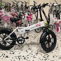 Bici elettrica Fat Bike