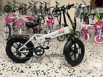 Bici elettrica Fat Bike