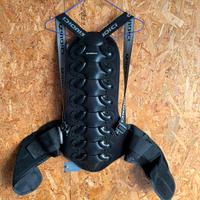 Paraschiena taglia L