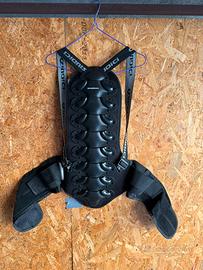 Paraschiena taglia L