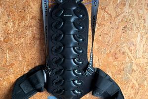 Paraschiena taglia L