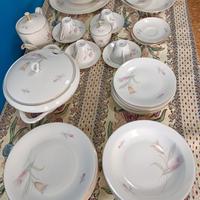 Servizio piatti + tè Bavaria