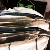 terminali kawasaki z1000