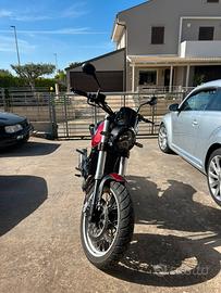Benelli Leoncino 500 Trial