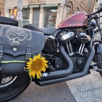 Set borse laterali per Sportster Harley Davidson