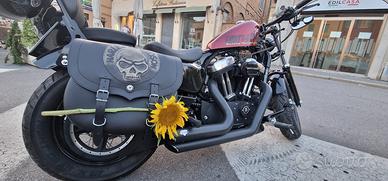 Set borse laterali per Sportster Harley Davidson