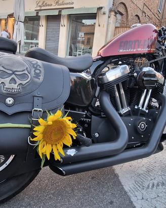 Set borse laterali per Sportster Harley Davidson