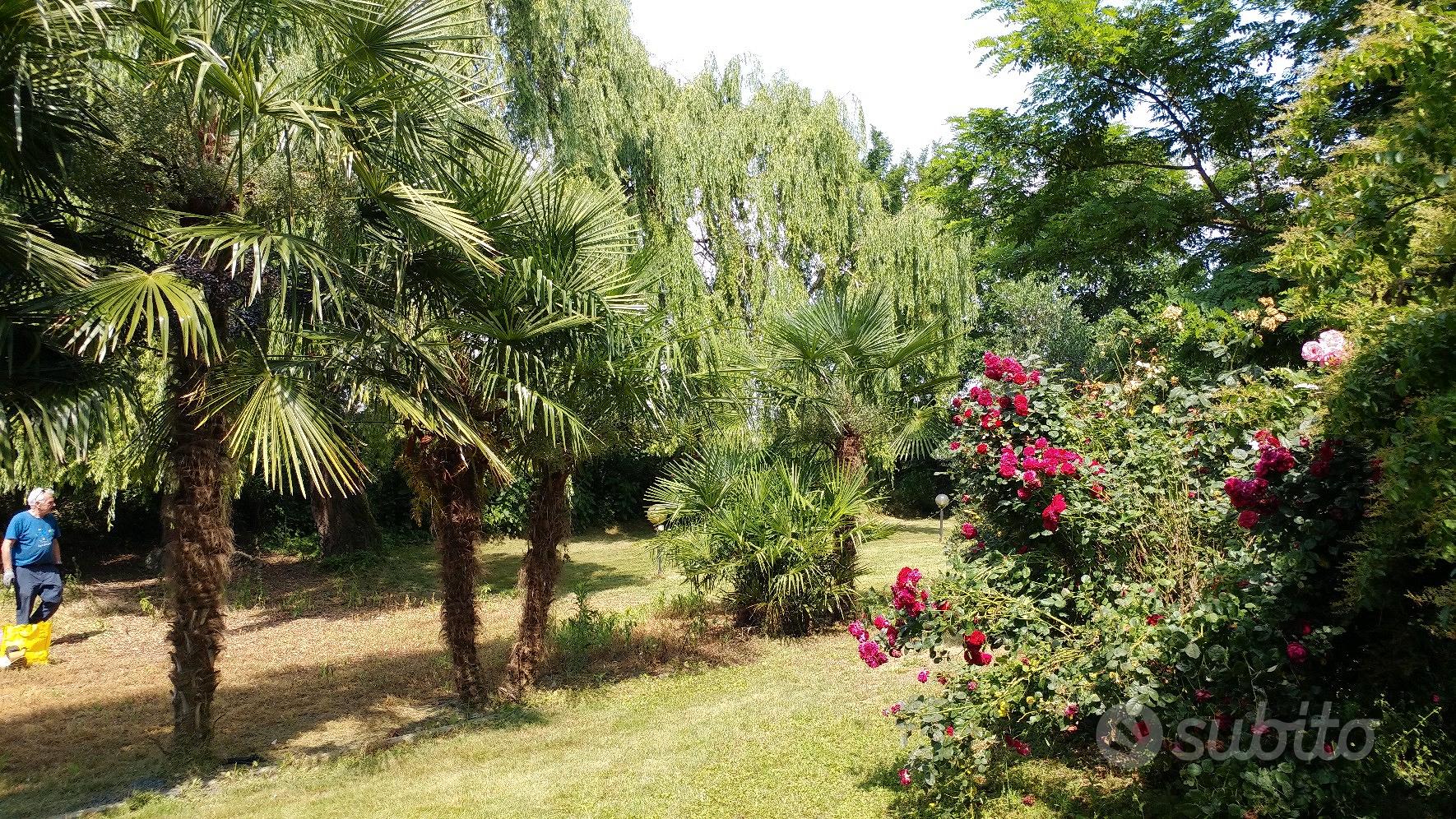 Terreno con laghetto e capanno - Vista 3