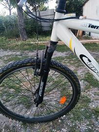 Mountain bike usata
