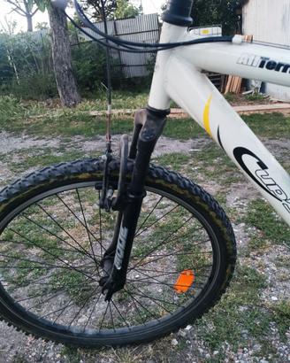 Mountain bike usata