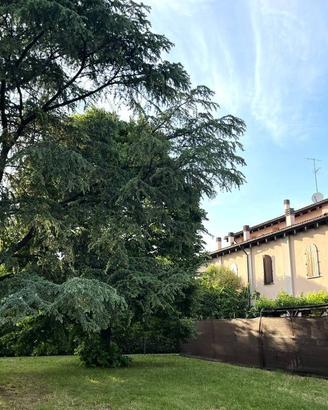 Appartamento di 86 m² con 4 locali a Bologna