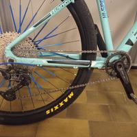 weehelie bike bianchi 29