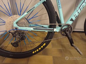 weehelie bike bianchi 29