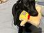 Immagine 1