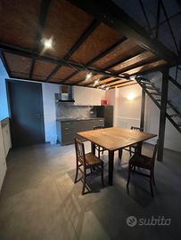 Loft ristrutturato in zona Campus Einaudi