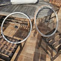 cerchi Ambrosio ws23