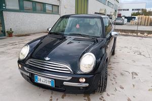 Mini one D park line