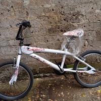 Bicicletta