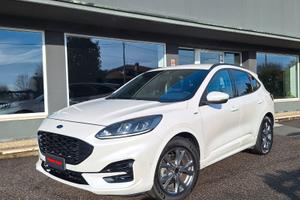 Ford Kuga 1.5 EcoBlue 120 CV aut. 2WD ST-Line X