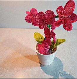 Orchidea uncinetto