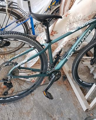 bici montainbike lee cougan verde