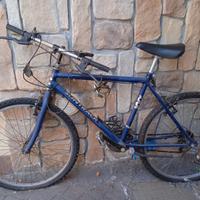 Bicicletta Mountain bike