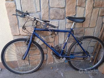 Bicicletta Mountain bike