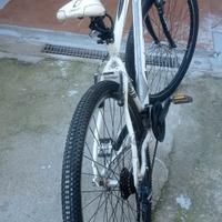 Mtb coppi ruota 29