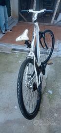 Mtb coppi ruota 29