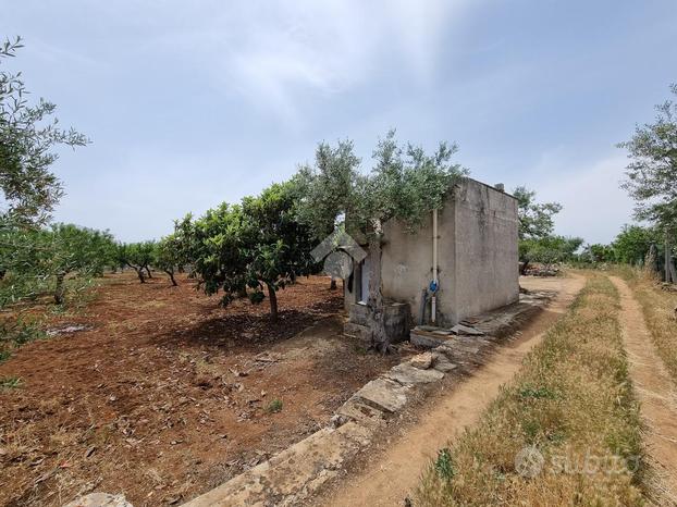 TER. AGRICOLO A CONVERSANO