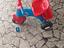 Immagine 1