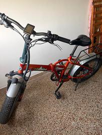 Bicicletta elettrica