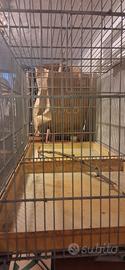 Gabbia grande