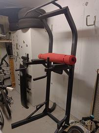 panca romana Calestenics