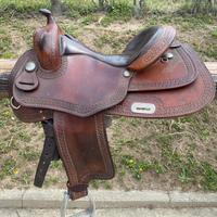 Sella Pool’s reining