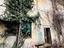 Immagine 7