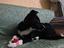 Immagine 2
