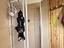 Immagine 14