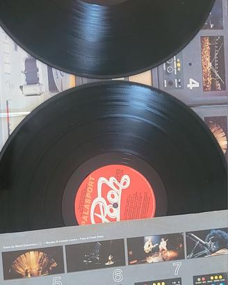 vinile pooh palasport 