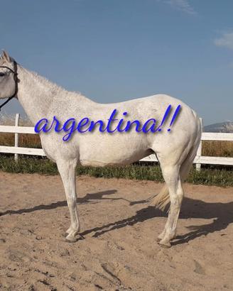 Argentina