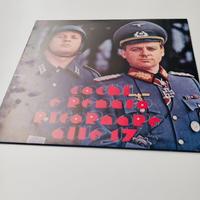 Disco vinile Cochi e renato