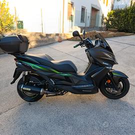 Kawasaki j300