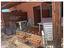 Immagine 15
